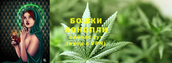 соль курить ск Белокуриха